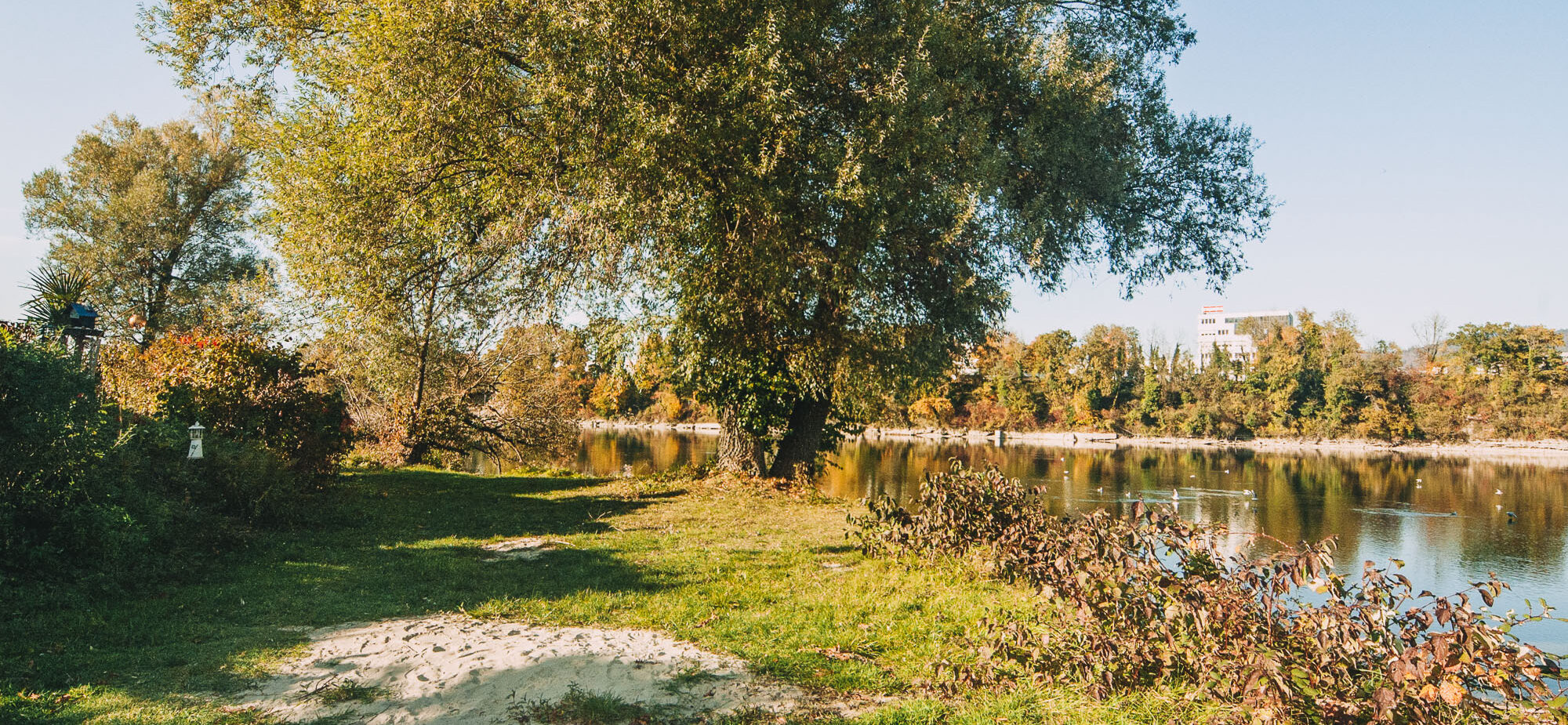 Camping Park Mumpf — photo 8